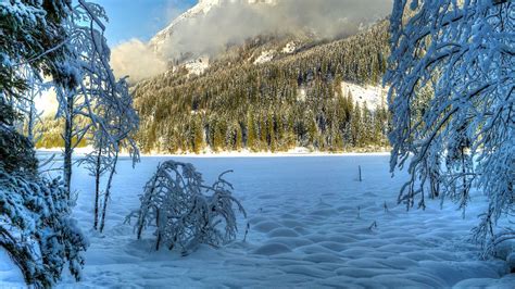 Download Wallpaper 1366x768 Winter Snow Trees Hills Sunny Clouds