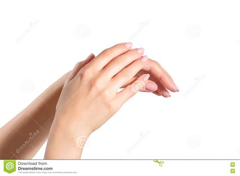Female Manicured Hands Isolated Stock Image - Image of isolated, colour: 72445265