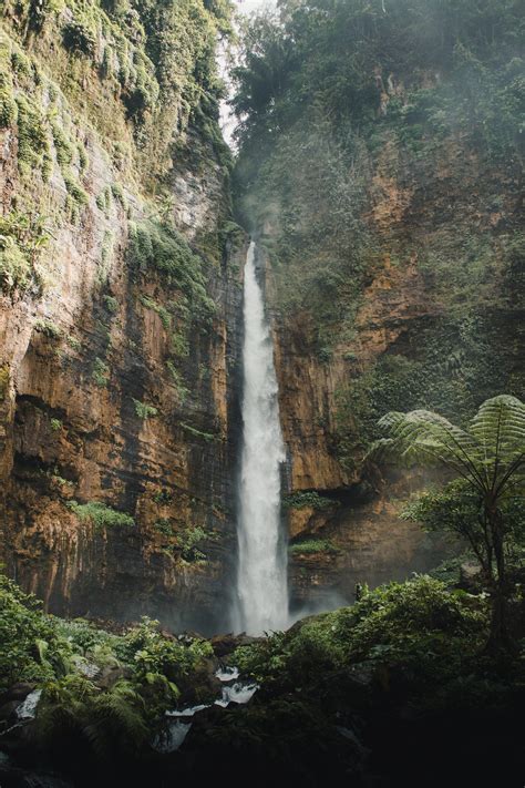 Wallpaper Backgrounds 4K - Best of Wallpapers for Andriod and ios
