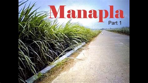 Vacation 2019 Negros Occidental 4 Manapla Part 1 Youtube