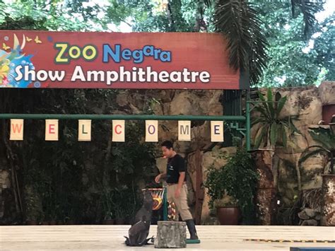 More than 1200 animals of 215 species can be. Harga Tiket Zoo Negara 2019
