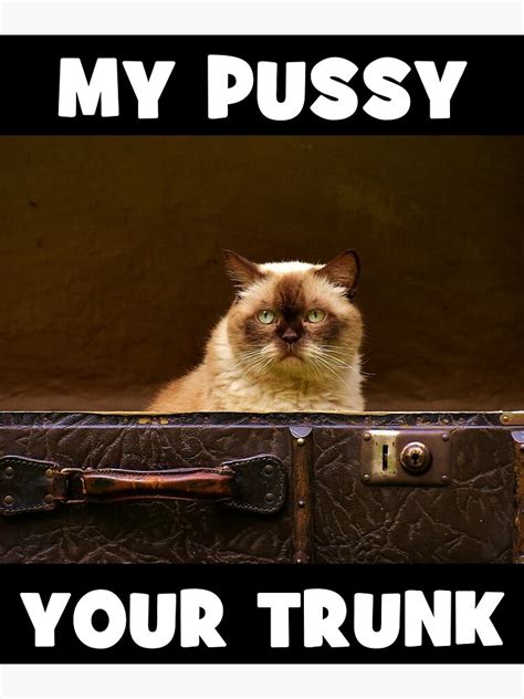 My Pussy Your Trunk Cheeky Double Entendre Cat Poster For Sale By Medve Redbubble