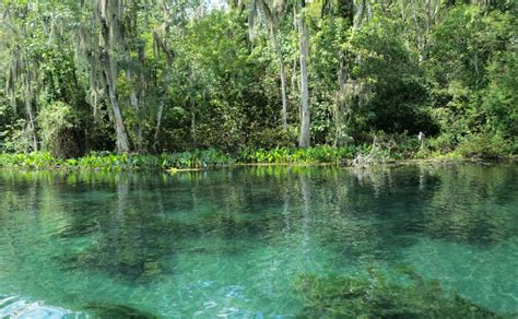 Silver Springs State Park At Ocala Florida