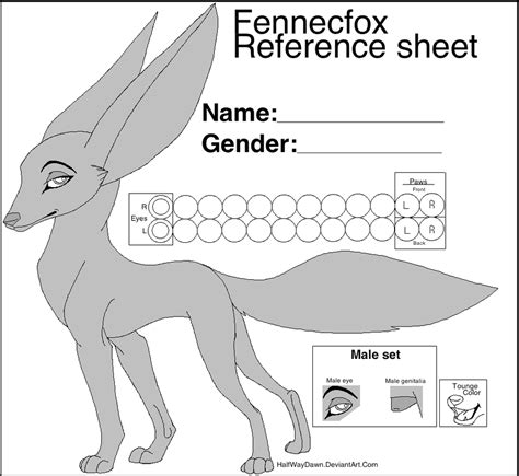 Free Fennec Fox Reference Sheet By Littlepuffin On Deviantart