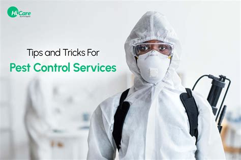 Top 10 Tips and Tricks for Pest Control Services | HiCare