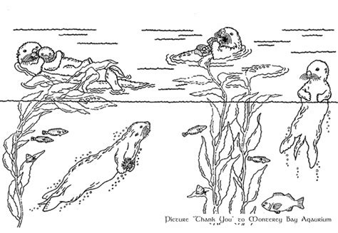O Is For Otter Coloring Page Coloring Home