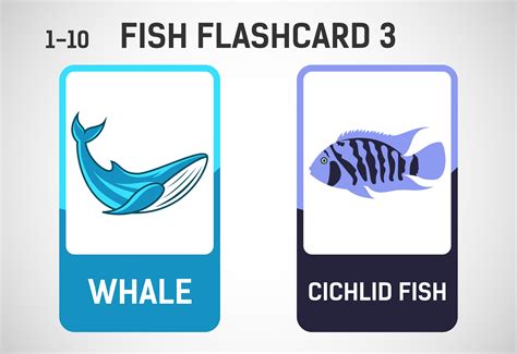 Fish Flashcards For Kids Graphic By Makhondesign · Creative Fabrica