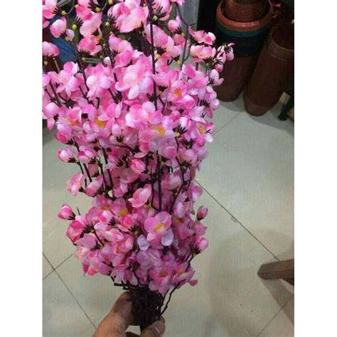 Apa nama bunga yang ditunjukkan dalam gambar? Terkeren 28+ Gambar Bunga Sakura Hias - Gambar Bunga Indah