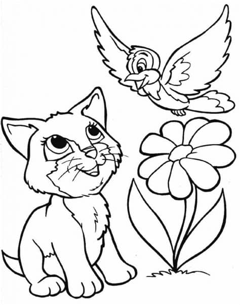 Gambar Animasi Kucing Hitam Putih 28 Images Mewarnai Atau ...