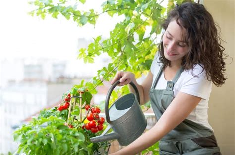 Start A Dreamy Kitchen Garden Today With These Tips