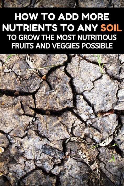 How To Add More Nutrients To Any Soil To Grow The Most Nutritious