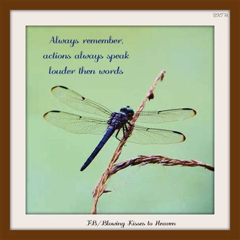 Dragonfly Meaning Quotes Shortquotescc