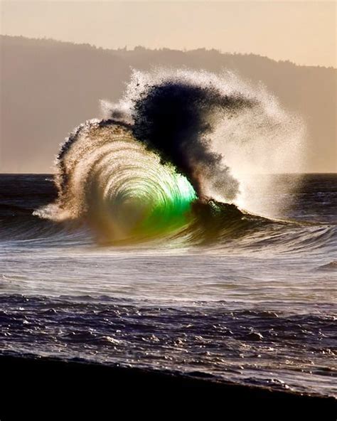 Wild Wave 자연 사진 서핑 자연