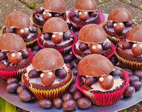 Schildkröte kuchen besteht aus rührkuchen aufeinander in der form von schildkrötenpanzer gestapelt und creme, die die marke schichten cakes verpasst. Schoko-Schildkröten-Muffins mit Ü-Eiern | Rezept | Schoko ...