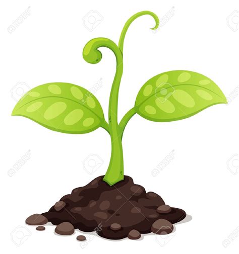 Plants Shoot Clipart 20 Free Cliparts Download Images On Clipground 2023