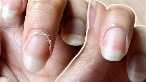nail care tips for healthy and strong nails lokaci blog