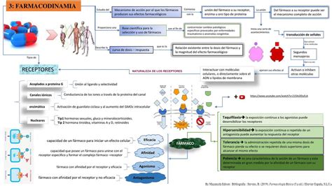 Farmacodinamia Farmacodinamia Farmacolog A Udocz Gambaran Porn Sex