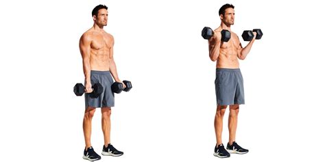 Best Biceps And Triceps Workout With Dumbbells Eoua Blog