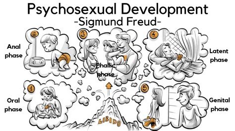⛔ Freuds Five Stages 5 Stages Of Human Development By Sigmund Freud