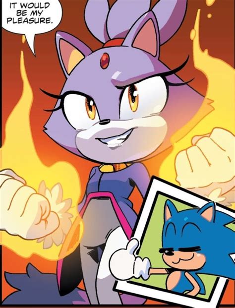 Blaze The Cat Sonic The Hedgehog Sonic Hedgehog Art