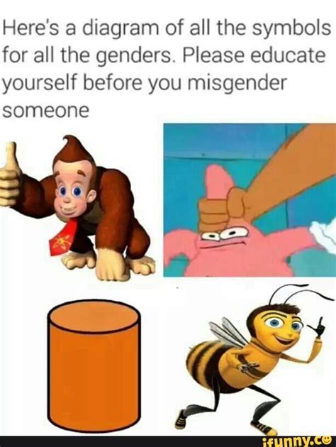 Gender Memes