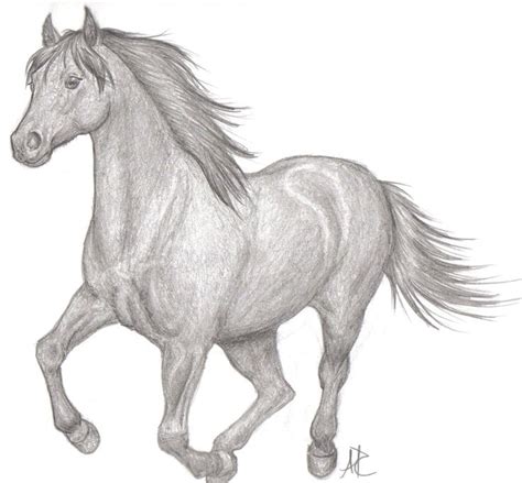 Running Horse By Aerettberg On Deviantart Horse Drawings Animal