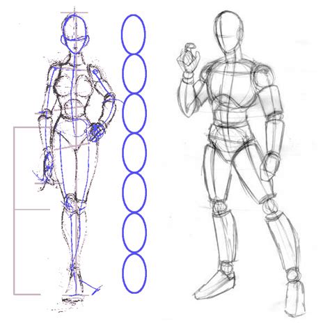 Como Dibujar Manga Proporciones Del Cuerpo 61 Pasos Para Dibujar