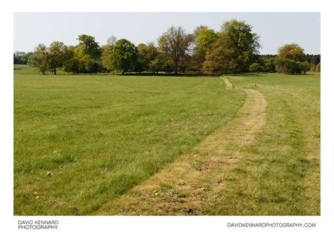 Grass Path Laxton · David Kennard Photography