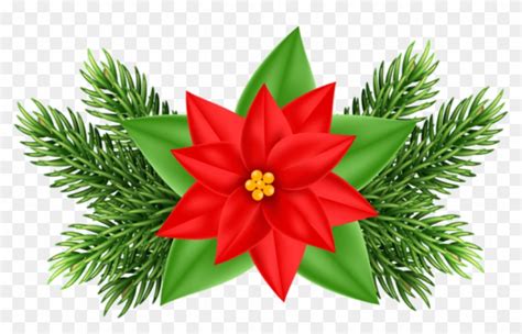Christmas Flower Clipart 20 Free Cliparts Download Images On