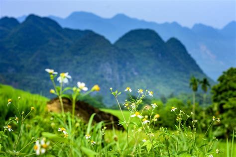 Pu Luong Nature Reserve Thanhhoa Free Photo On Pixabay Pixabay