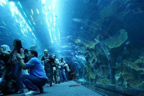 All About Rankings Top 10 Largest Aquariums In The World