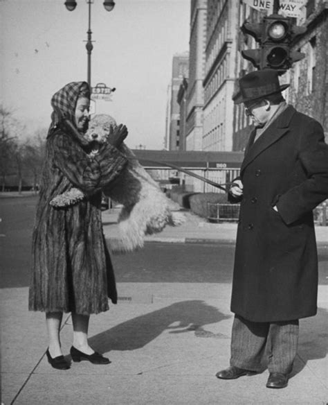 Celebrities Walk Their Dogs In 1940s New York City