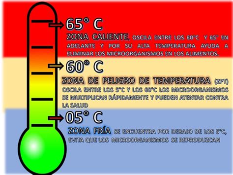 Temperatura Y Tiempo En La Preparación De Los Alimentos Nueva Escuela Mexicana