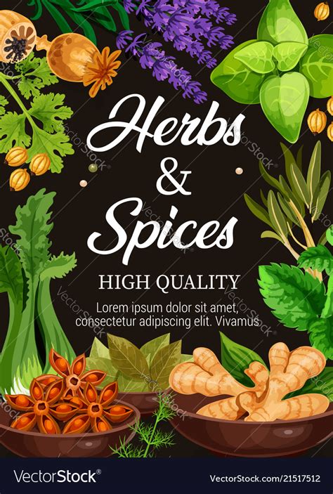 Premium Quality Herbs And Spices Seasonings Poster
