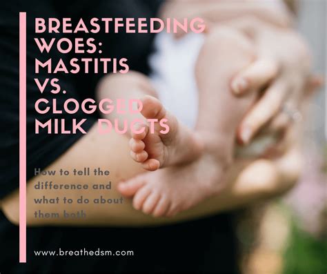 Whats The Difference Between Mastitis And Clogged Milk Ducts
