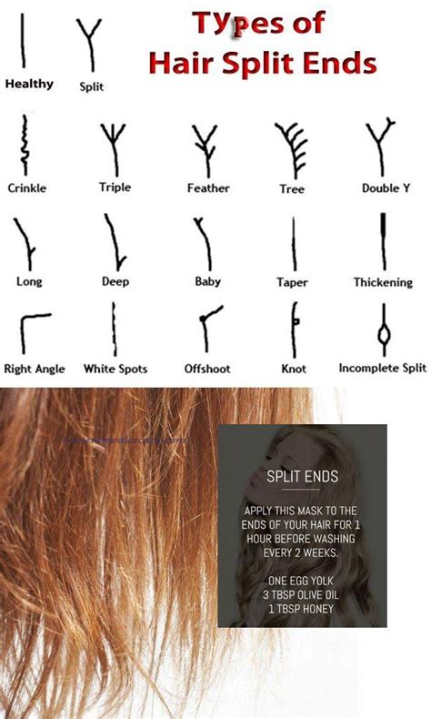 10 Natural Home Remedies To Get Rid Of Split Ends