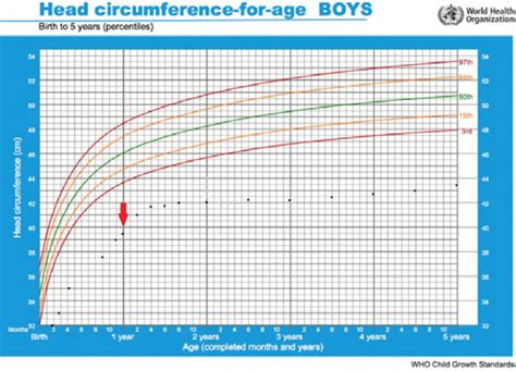 Size Chart Circumference A Visual Reference Of Charts Chart Master