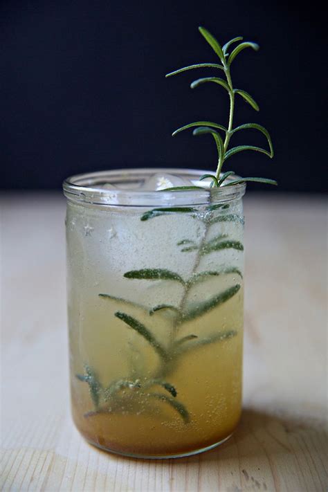 You may wish to double or triple the batch and share with everyone around you because you're. Sweet Potato & Rosemary Cocktail | Rosemary cocktail