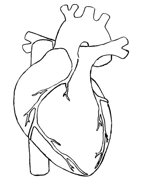 Heart Line Drawing Clipart Clipart Panda Free Clipart Images