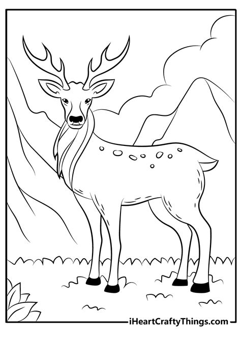 Deer Coloring Page Sheets