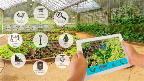 Smart Agriculture Sensors Helping Small Farmers And Positively Impacting