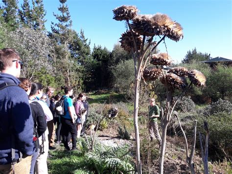 Tours Kahikatea Farm Certified Organic Nursery And Permaculture Farm