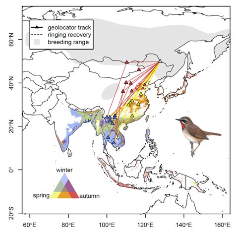 Messengers Of A Changing World The Migration Ecology Of Asian Land