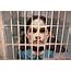 5 Real Life Evil Kids Who Need To Be Punished  Complex