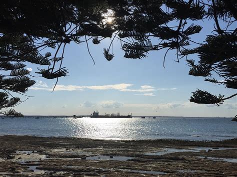 Kurnell To Cape Baily Walk Sydney All You Need To Know Before You Go