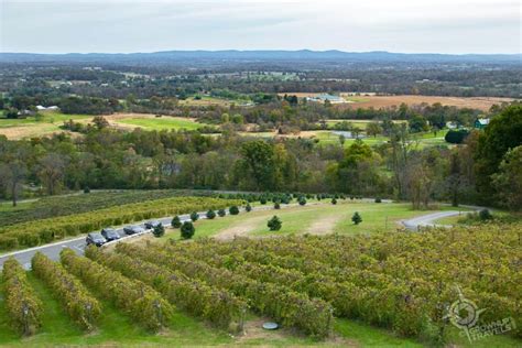 Guide To Best Wineries In Loudoun County Virginia Grownup Travels