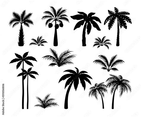 Silhouette Palm Trees Set Tropical Black Jungle Plants Illustration