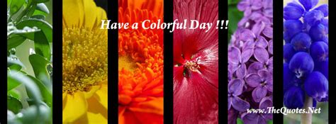 facebook cover image images  holi tag thequotesnet