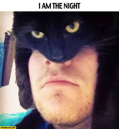 This subreddit is dedicated to the discussion of all batman: I am the night. Man wearing cat as a hat looking like Batman | StareCat.com