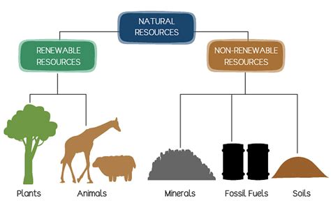Importance Sustainable Management Of Natural Resources Notes Study